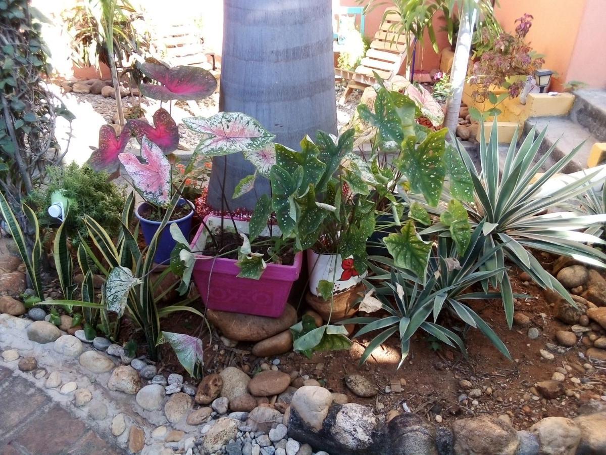 Casa Gio Villa Puerto Escondido  Dış mekan fotoğraf